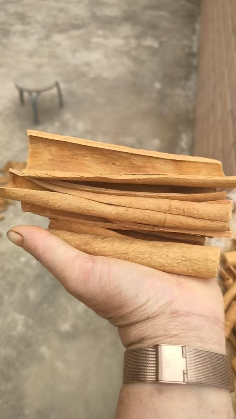 桂皮