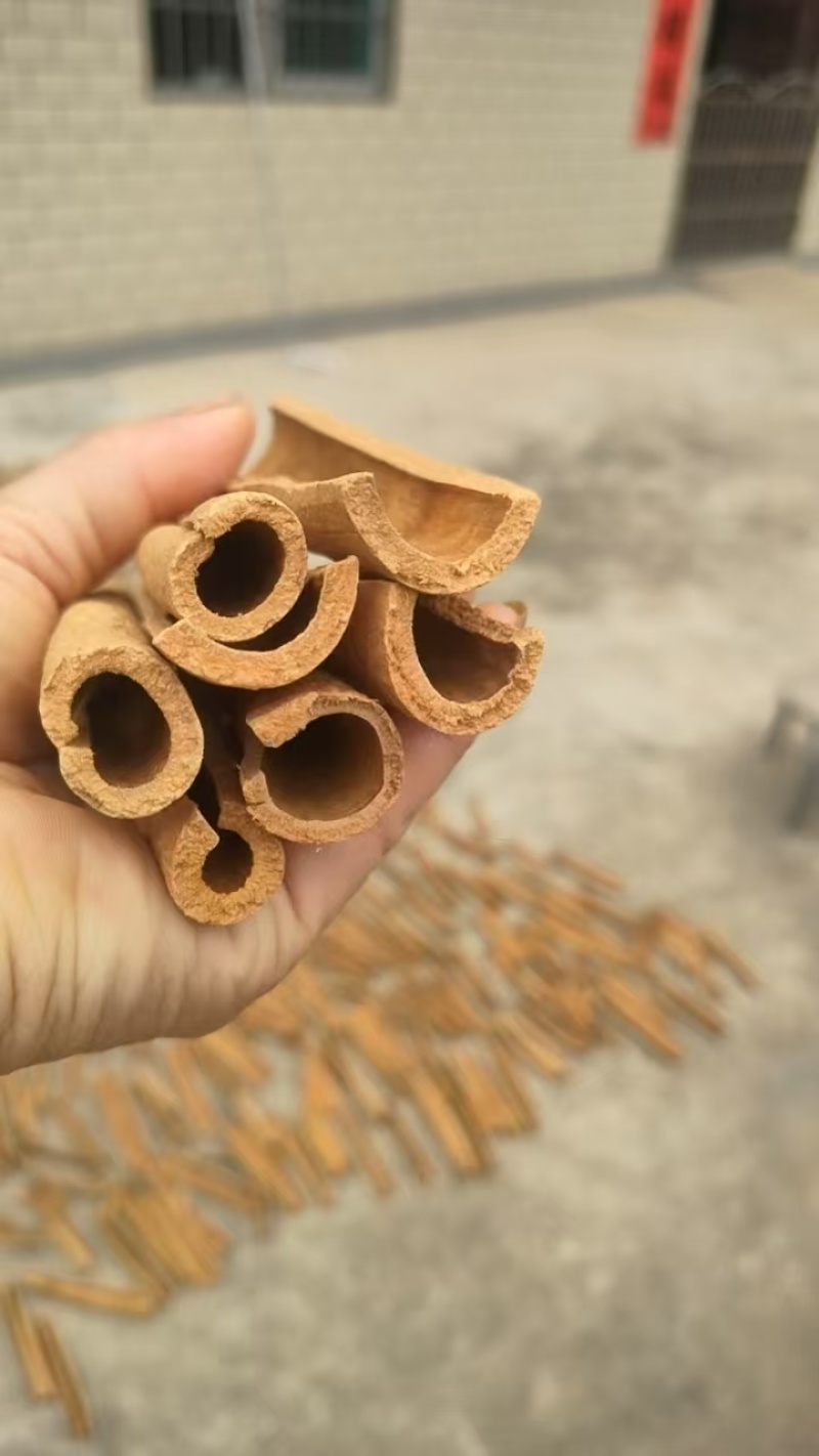桂皮