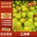 广东三华李/产地直发/市场果/电商果/工厂果