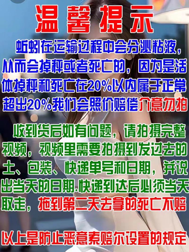 湖北青蚯蚓鲜活黑蚯蚓特大臭蚯蚓产地一手货源保质保量