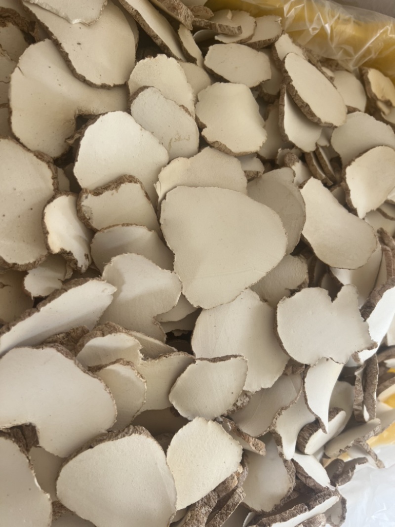 精品中药材虎奶菌大量现货