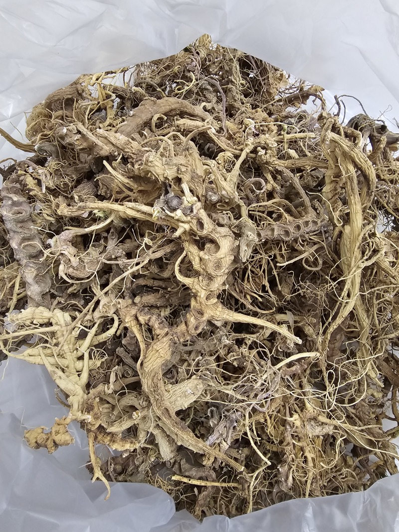 天王参，竹节参，正品天王参，欢迎各位老板与本厂对接合作