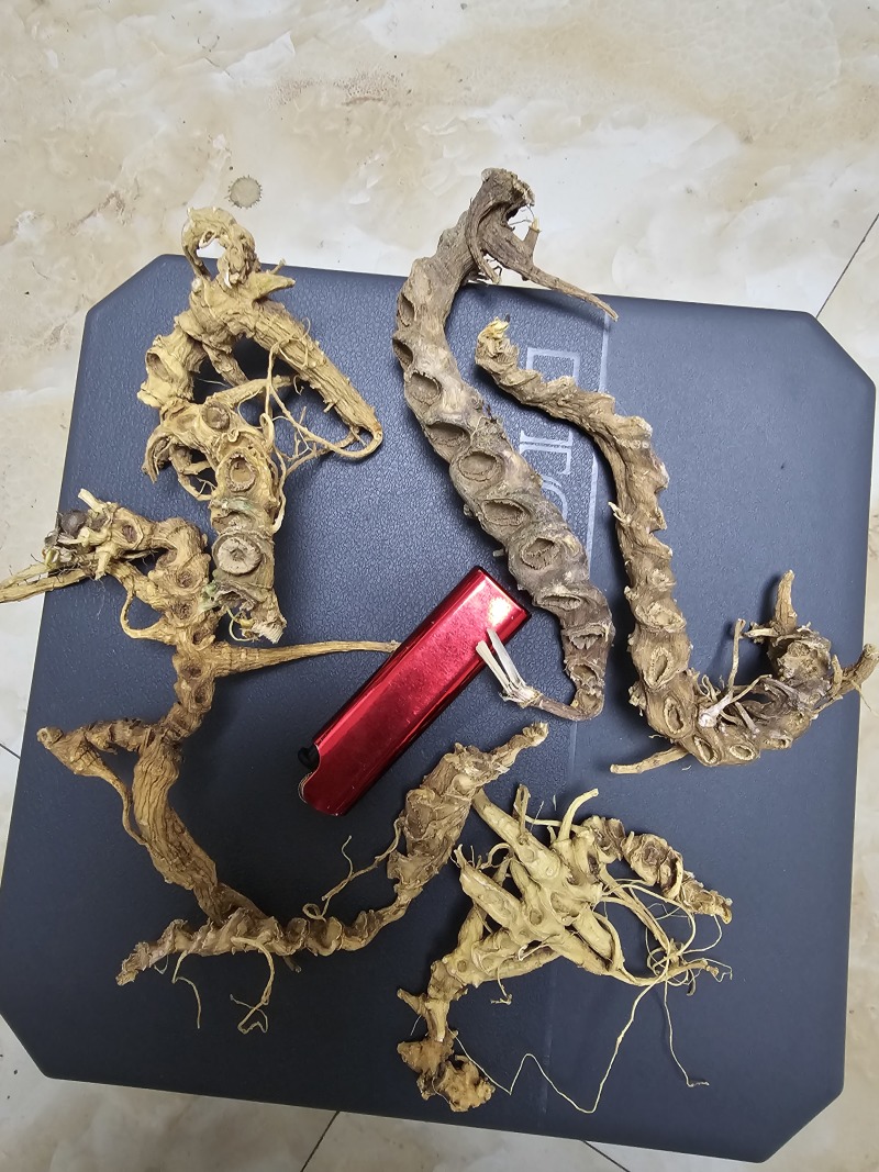天王参，竹节参，正品天王参，欢迎各位老板与本厂对接合作