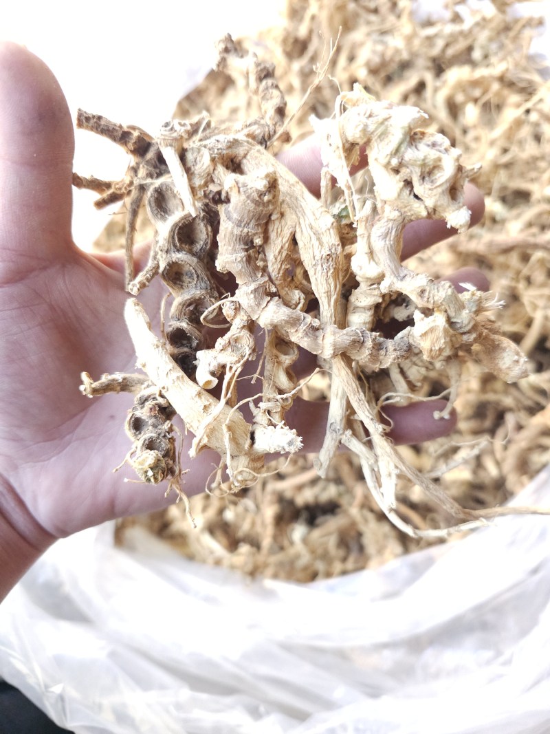 天王参，竹节参，正品天王参，欢迎各位老板与本厂对接合作