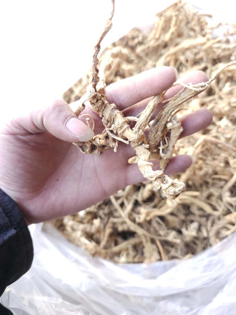 天王参，竹节参，正品天王参，欢迎各位老板与本厂对接合作