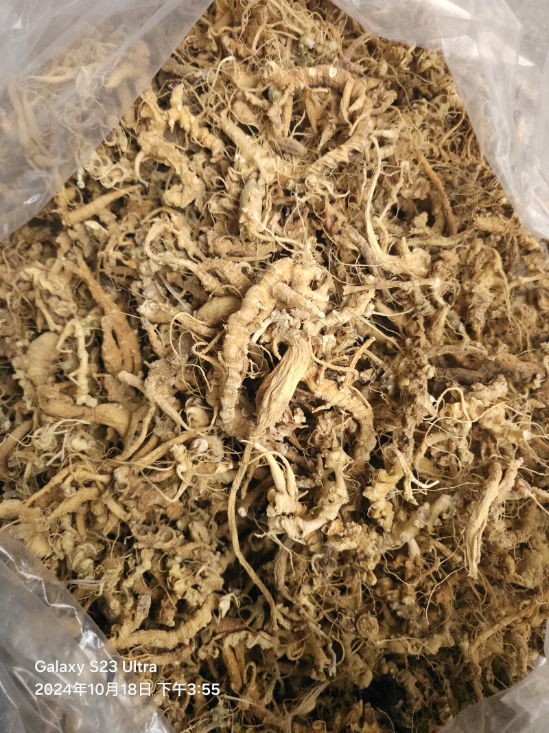 天王参，竹节参，正品天王参，欢迎各位老板与本厂对接合作