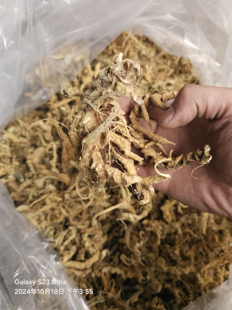 天王参，竹节参，正品天王参，欢迎各位老板与本厂对接合作