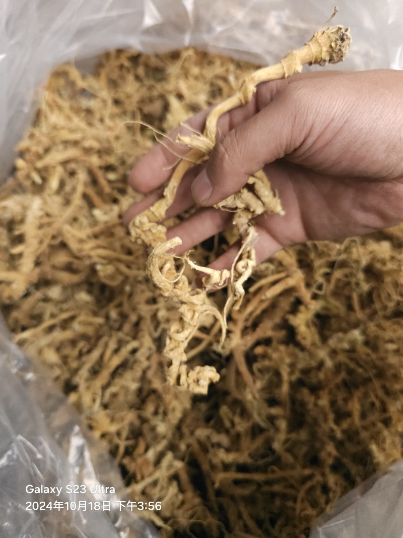 天王参，竹节参，正品天王参，欢迎各位老板与本厂对接合作
