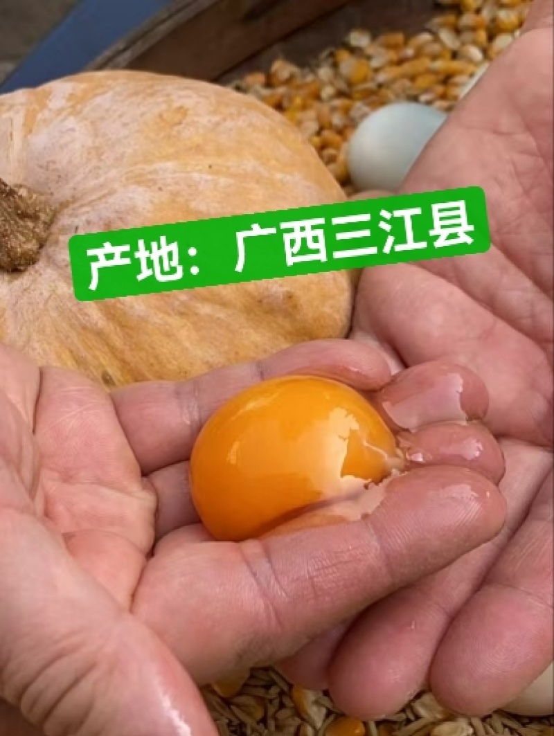 南宁散养精品鸡蛋_三江县本地鸡下土鸡蛋_小个黄心生态蛋