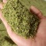 头茬猫爪草种子产地直采，人工采摘，出芽率高