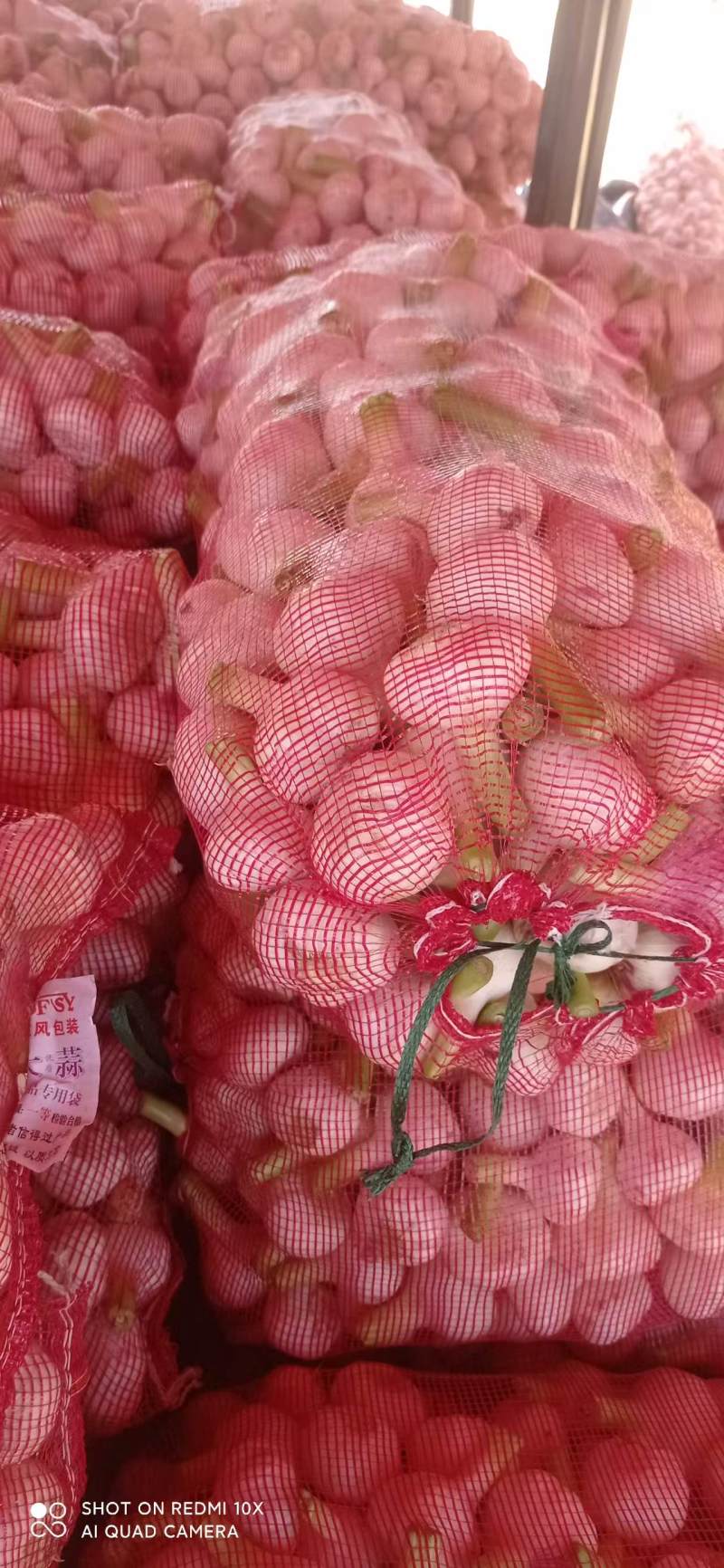 河南新鲜扒皮蒜中熟大蒜全是精品产地直发品质保证量大价优