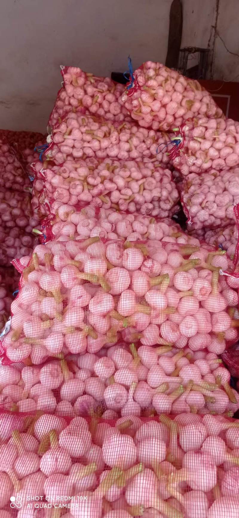 河南新鲜扒皮蒜中熟大蒜全是精品产地直发品质保证量大价优
