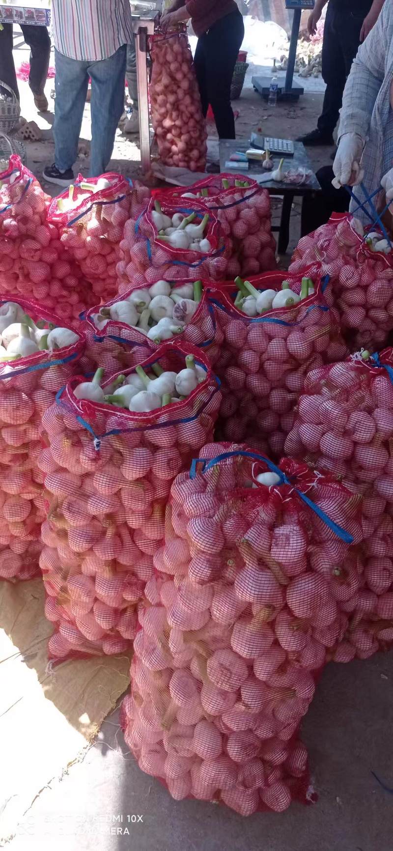 河南新鲜扒皮蒜中熟大蒜全是精品产地直发品质保证量大价优