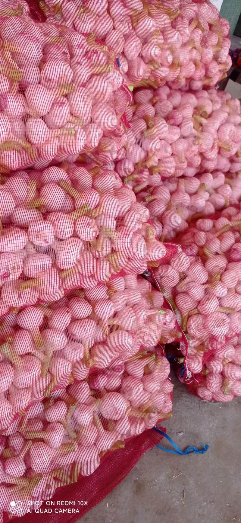 河南新鲜扒皮蒜中熟大蒜全是精品产地直发品质保证量大价优