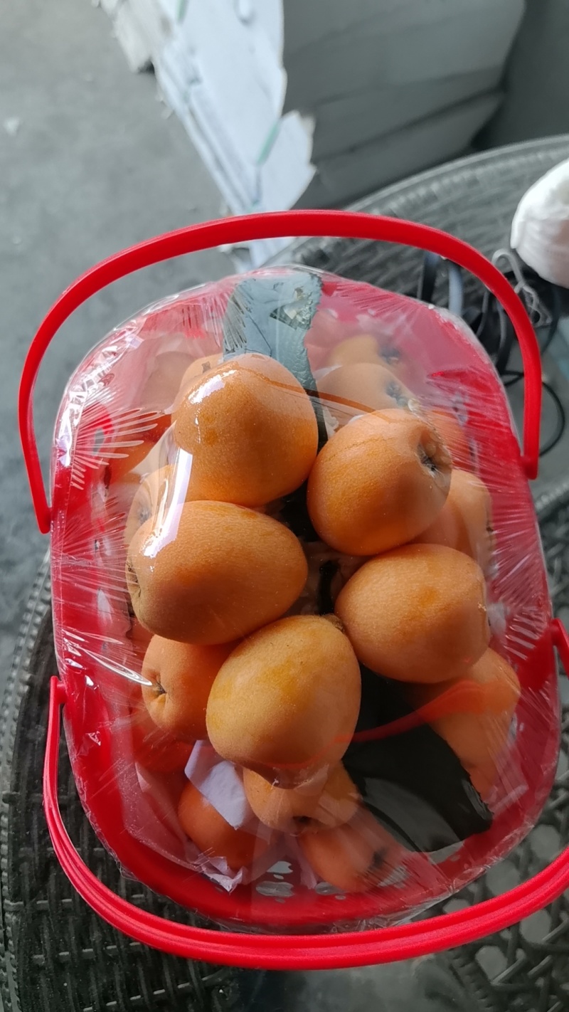 四川大五星枇杷，主要是口感好，果大，品质说话保质保量