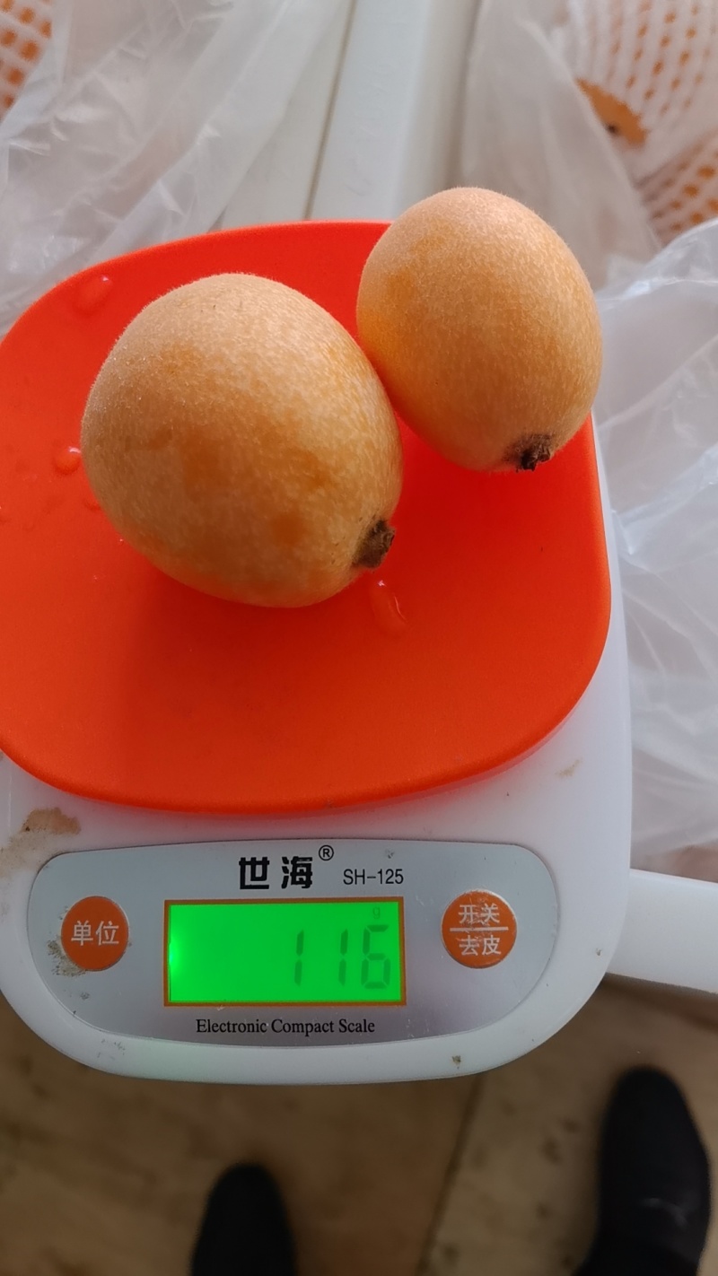 四川大五星枇杷，主要是口感好，果大，品质说话保质保量