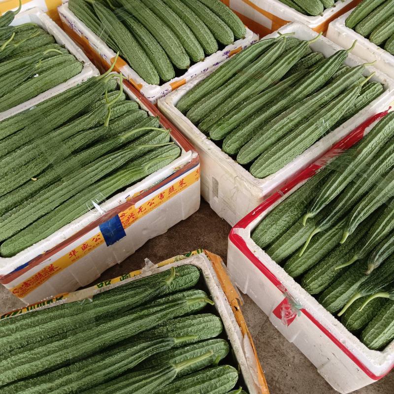 各类精品蔬菜下个月上市