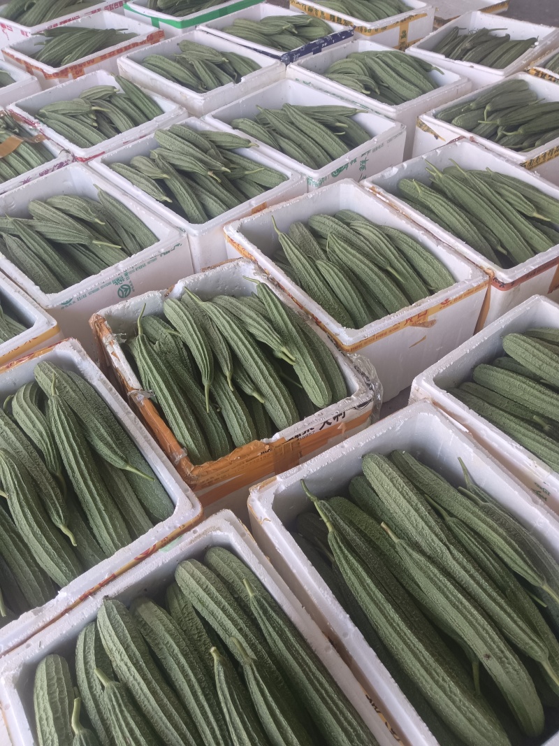 各类精品蔬菜下个月上市
