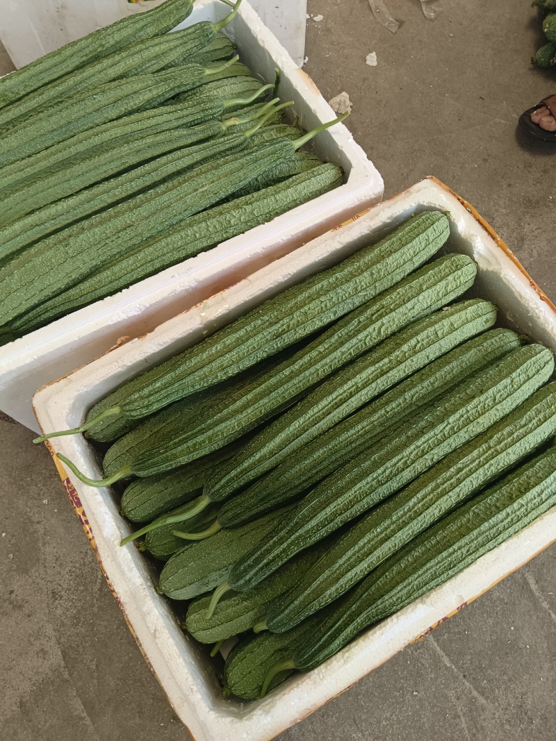 各类精品蔬菜下个月上市