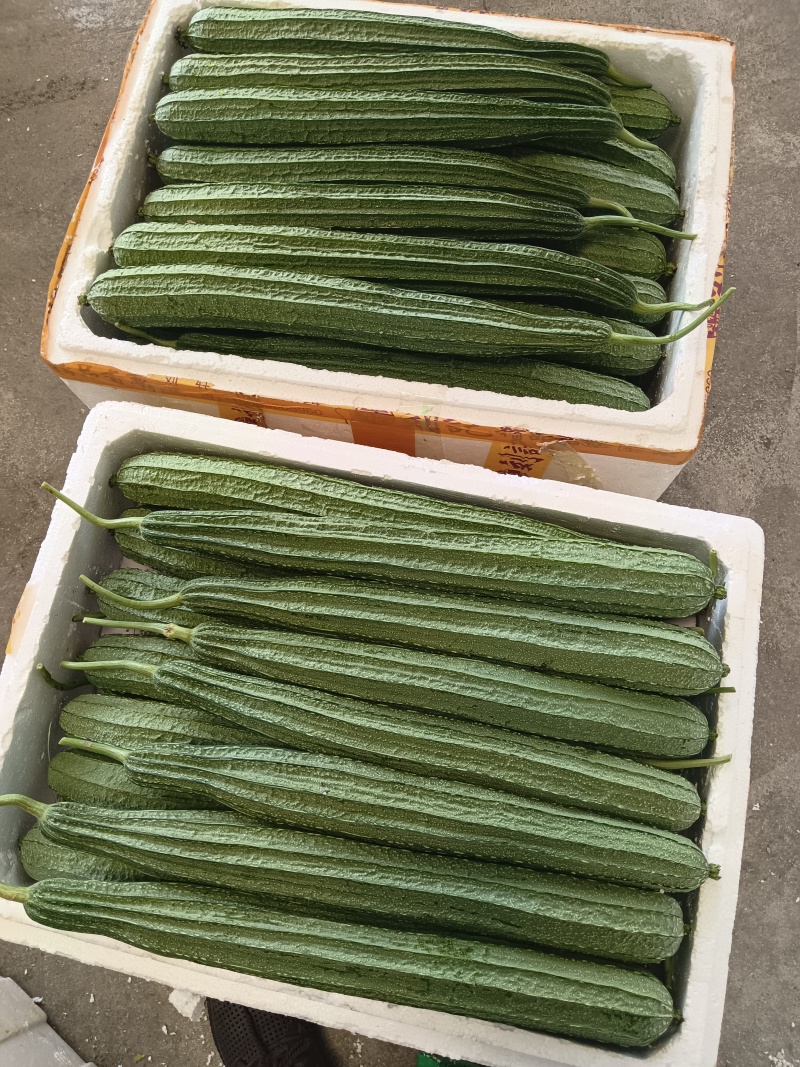 各类精品蔬菜下个月上市