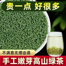 碧螺春绿茶2025新茶高山云雾绿茶正宗浓香型饭店电商茶叶