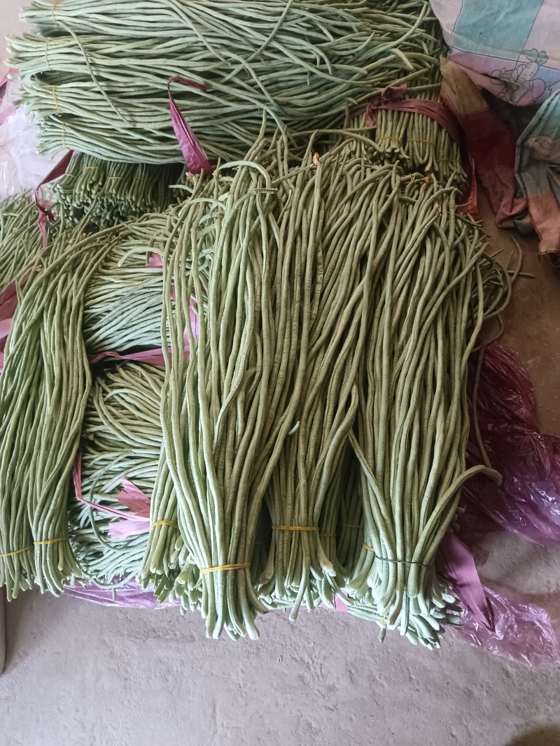 长豆角/货源充足量大从优可远程看货欢迎联系