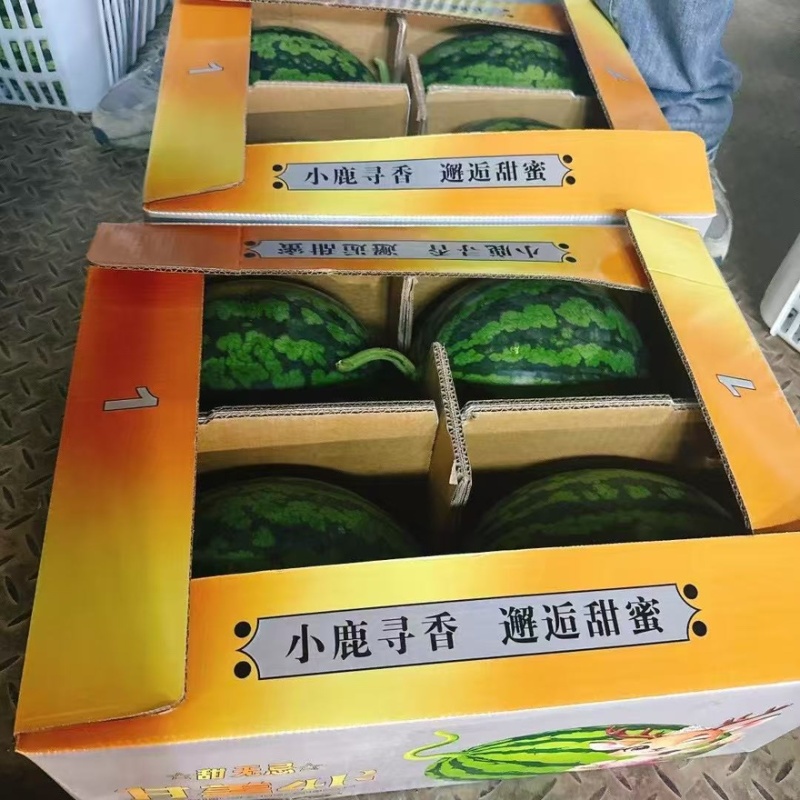江苏东台甘美4K西瓜产地直发口感好甜度高量大从优可视频