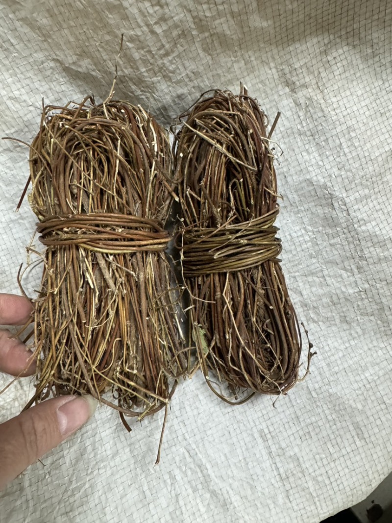 鸡骨草干度好质量好价格实惠无叶带叶鸡小扎