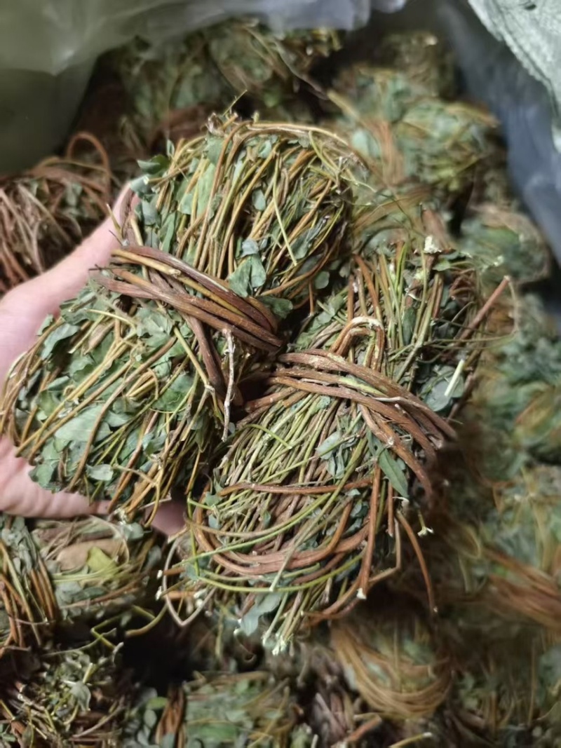 鸡骨草干度好质量好价格实惠无叶带叶鸡小扎