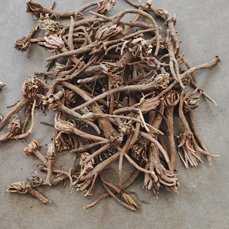 阿纳其根中药材阿纳其根欧都里开日合除虫菊根