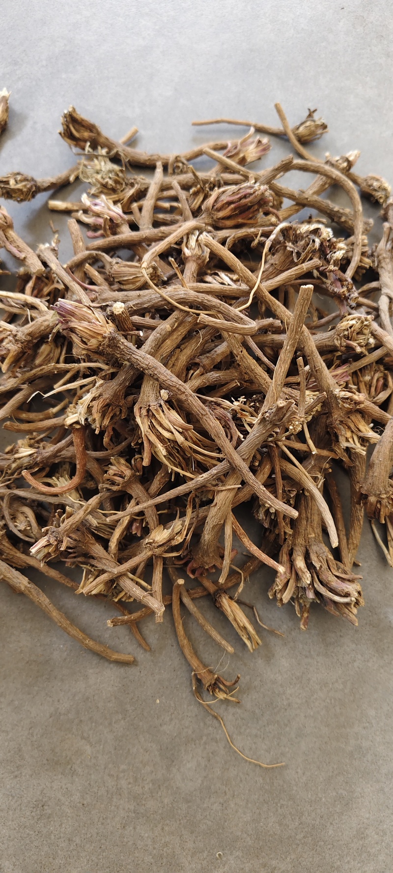 阿纳其根中药材阿纳其根欧都里开日合除虫菊根
