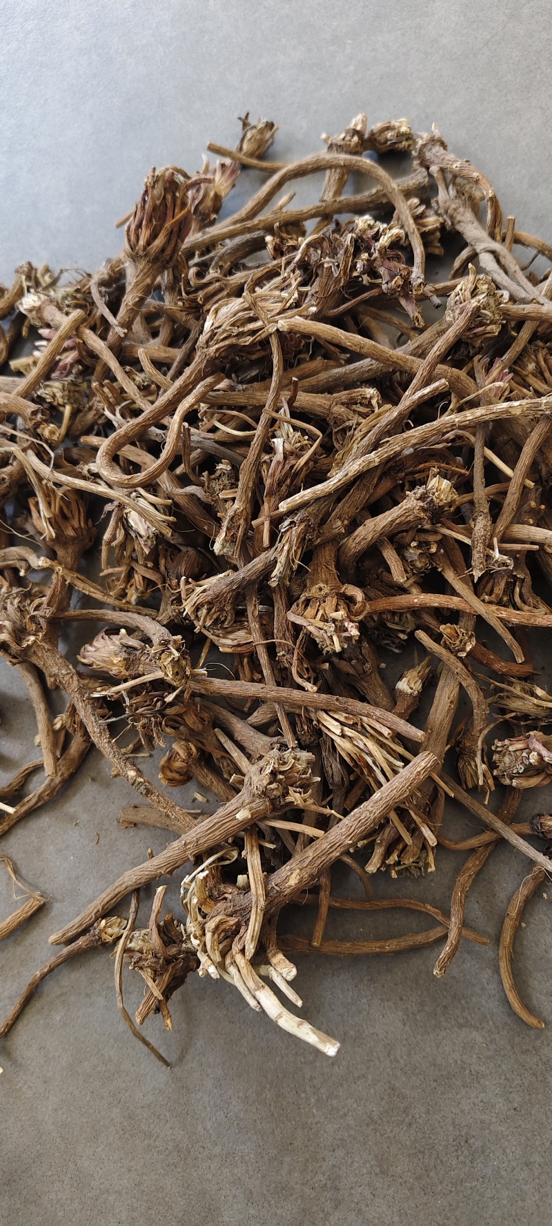 阿纳其根中药材阿纳其根欧都里开日合除虫菊根