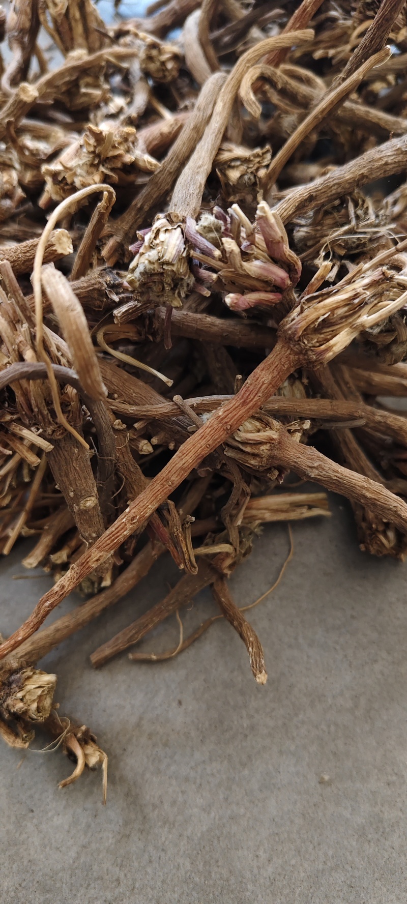阿纳其根中药材阿纳其根欧都里开日合除虫菊根