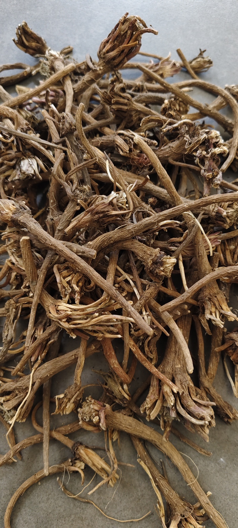 阿纳其根中药材阿纳其根欧都里开日合除虫菊根