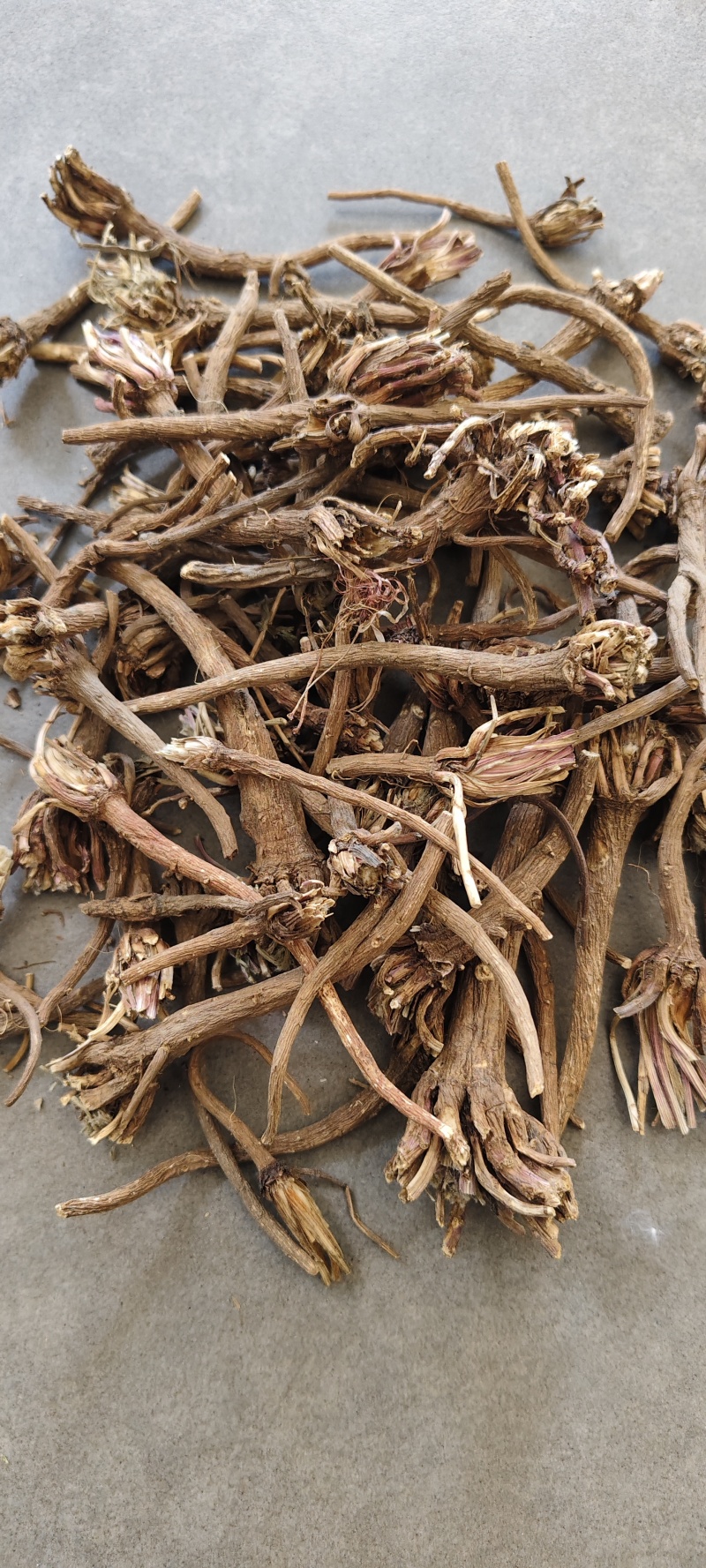 阿纳其根中药材阿纳其根欧都里开日合除虫菊根