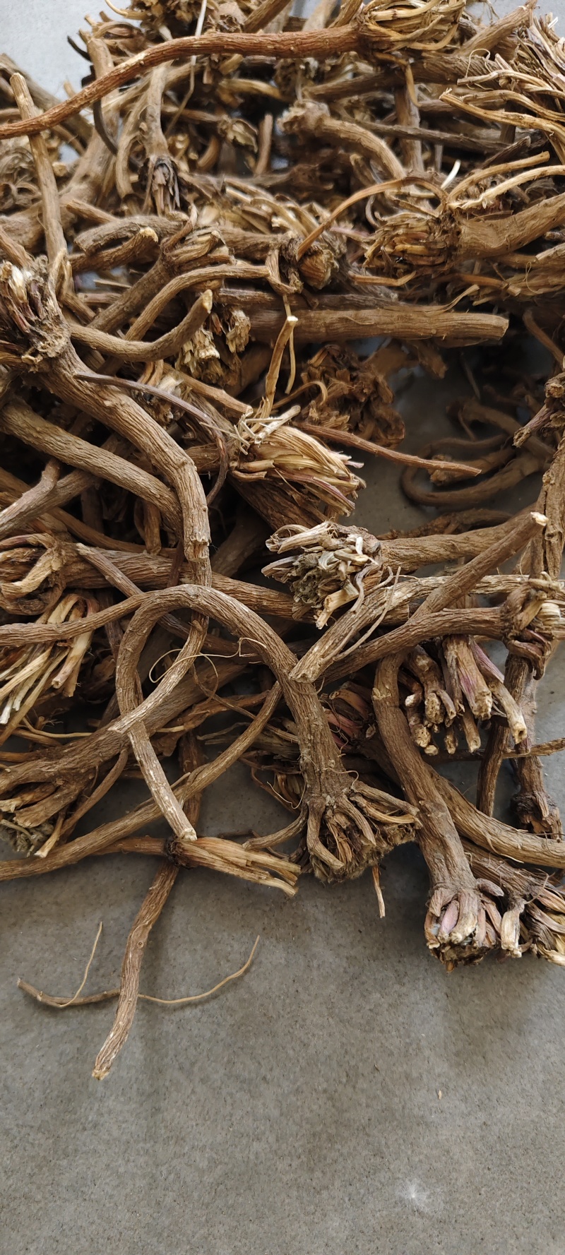 阿纳其根中药材阿纳其根欧都里开日合除虫菊根