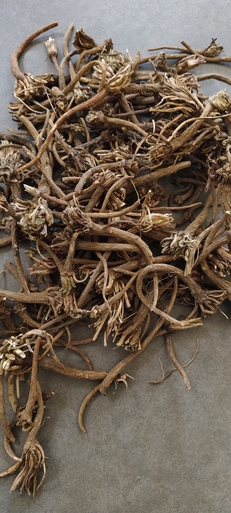 阿纳其根中药材阿纳其根欧都里开日合除虫菊根