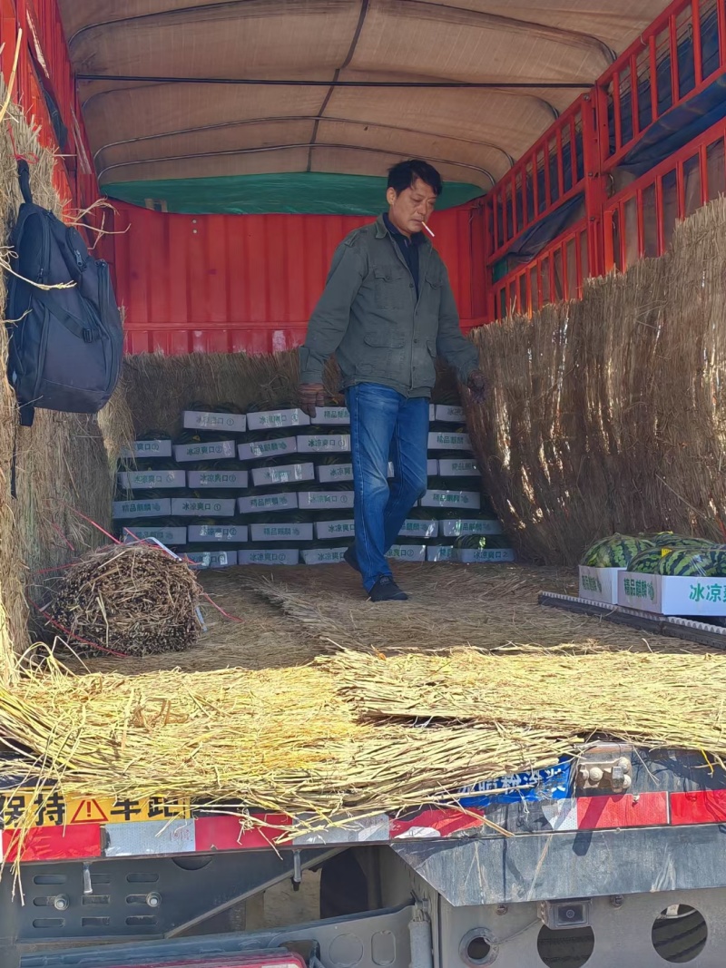 东台精品美都麒麟瓜产地直发对接全国包熟包甜保质保量
