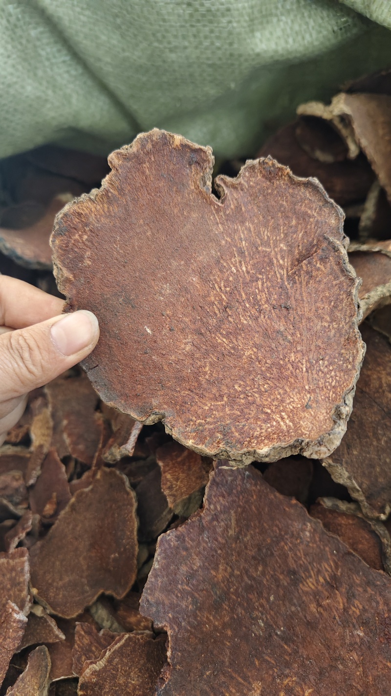 红药子中药材薯莨红孩儿红药毛葫芦雄黄连散血蛋