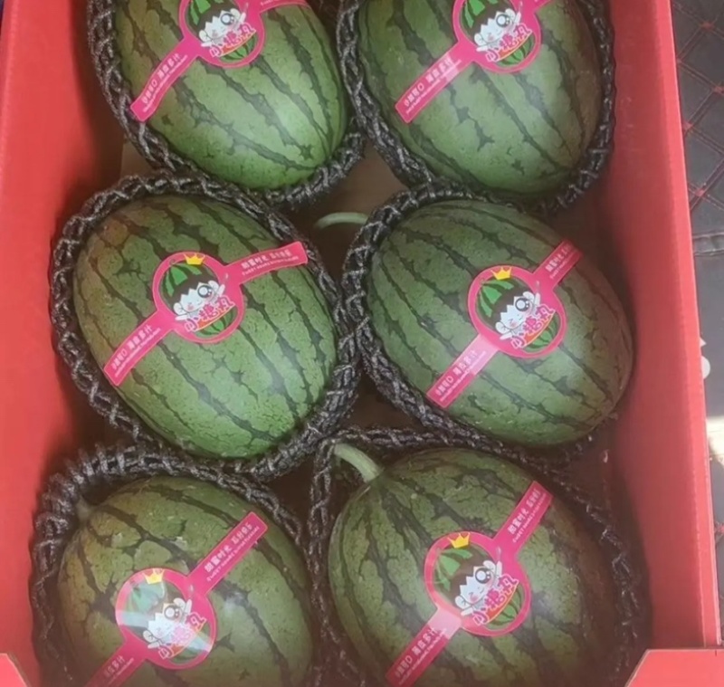 2k小糖丸西瓜大量供应皮薄口感好对接商超市场保质保量代