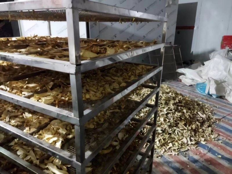 【推荐】灵芝菇，干货一手货源量大优惠欢迎咨询