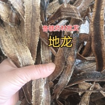 地龙全开地龙1斤起批批发各种中药材量大优惠