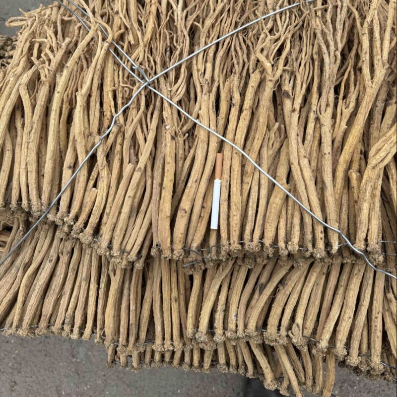 精品岷县党参原产地发货量大从优品质无忧可视频看货