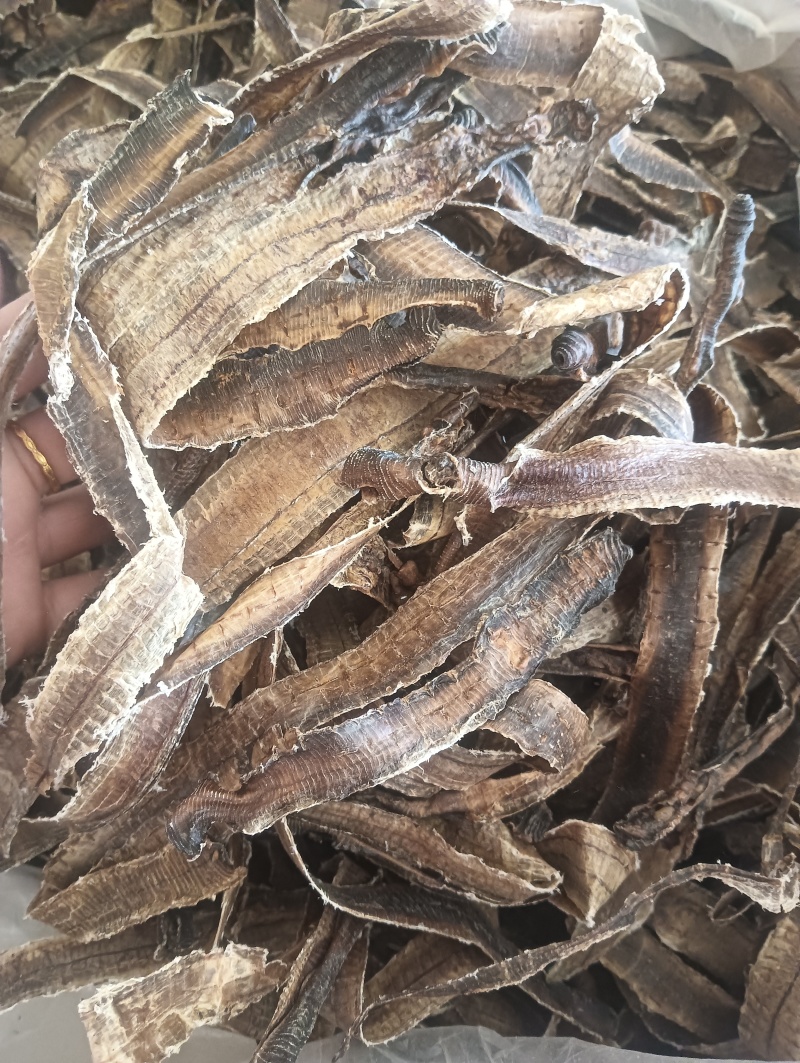 地龙全开地龙1斤起批批发各种中药材量大优惠