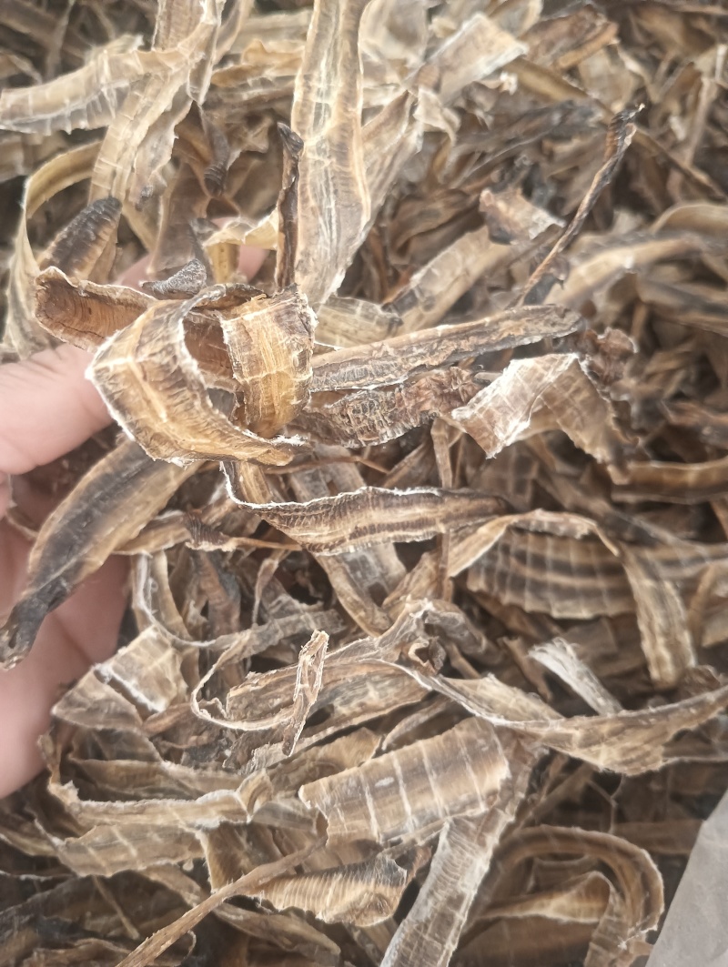 地龙全开地龙1斤起批批发各种中药材量大优惠