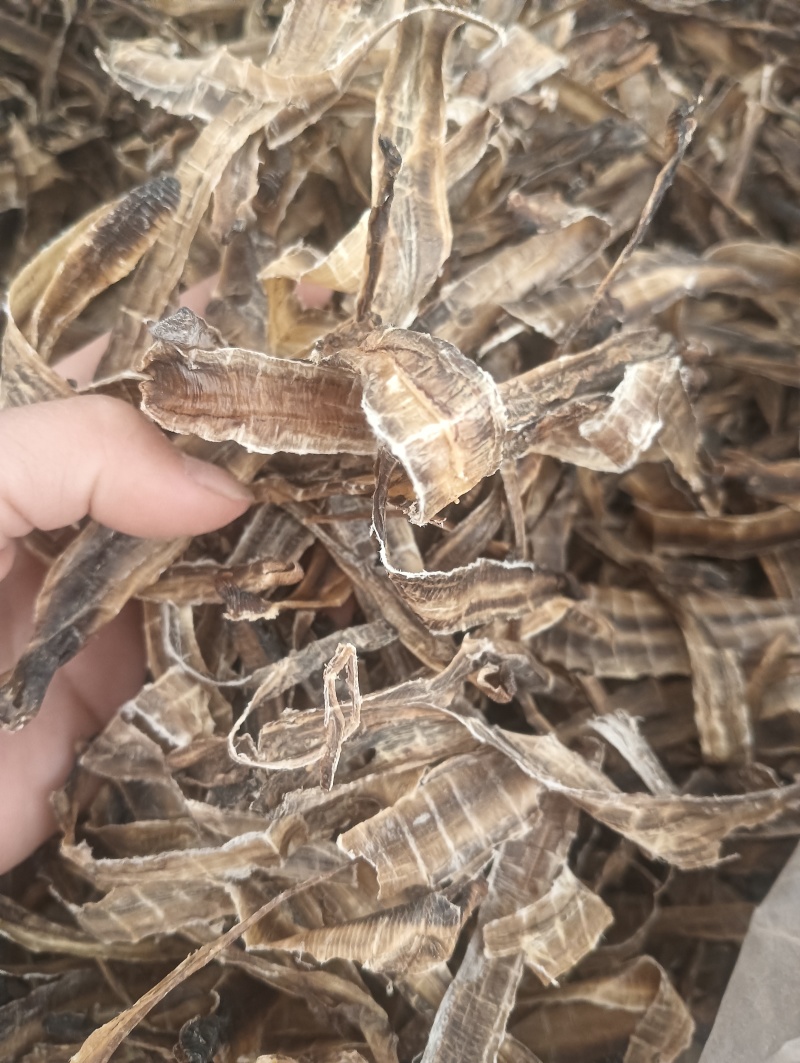 地龙全开地龙1斤起批批发各种中药材量大优惠