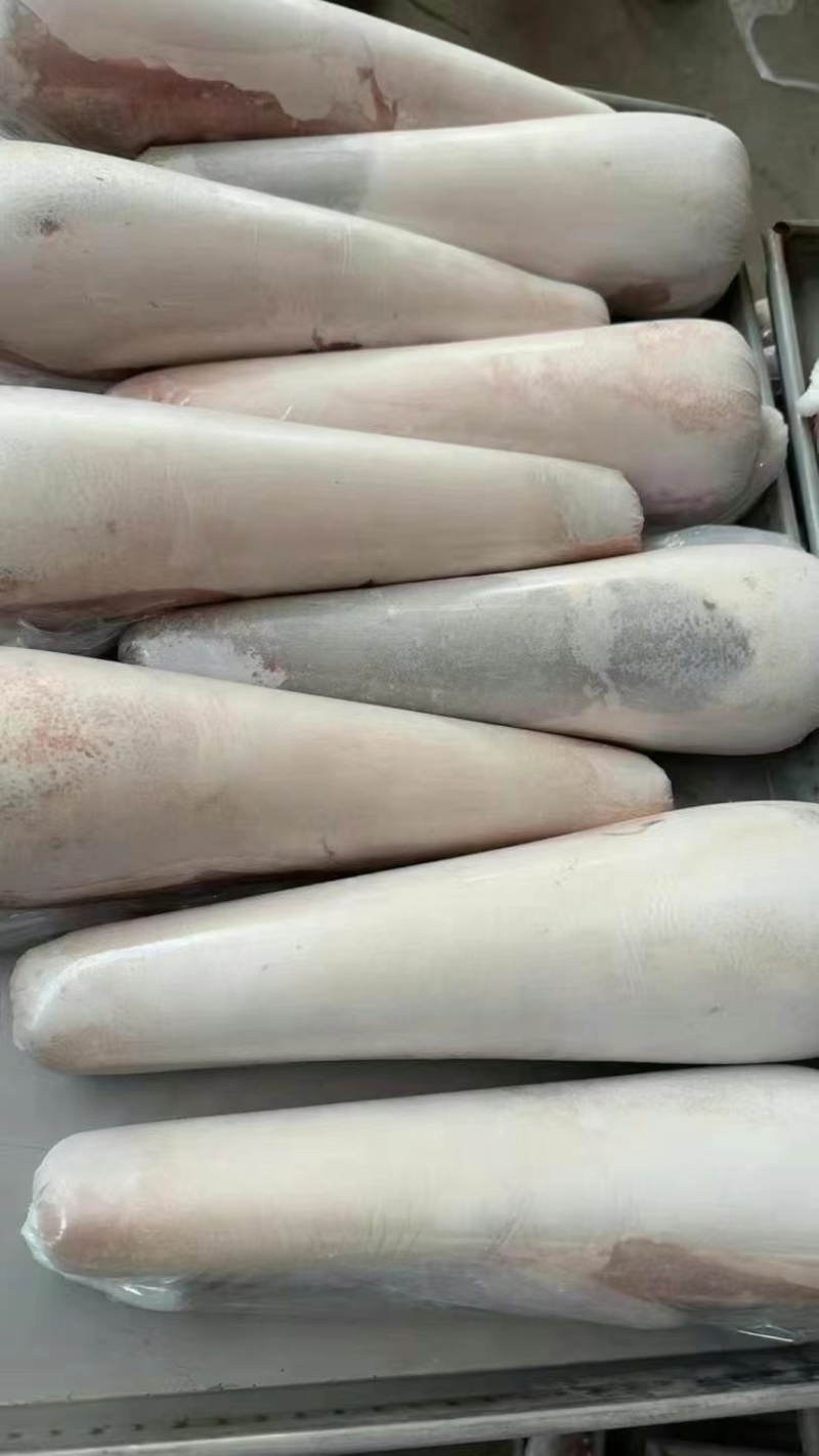牛舌