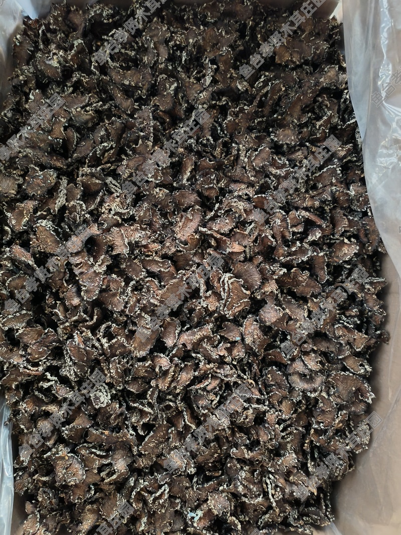 核桃菌切片猴脑菌玛卡菌猴脑菌片