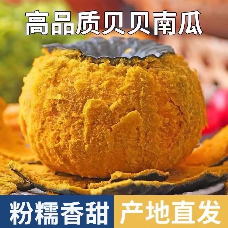 贝贝南瓜真贝贝南瓜支持一件代发低价出售