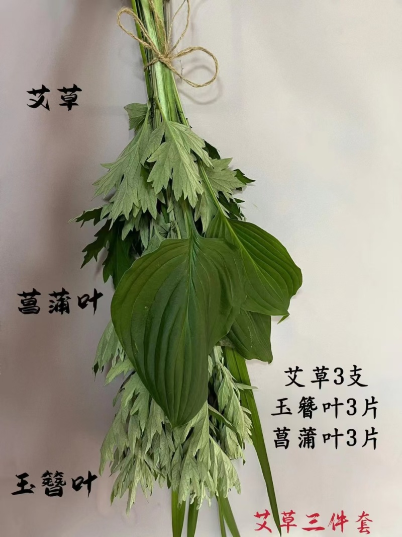 端午节鲜艾草，艾草，艾草花束，产地直销，全程冷链配送